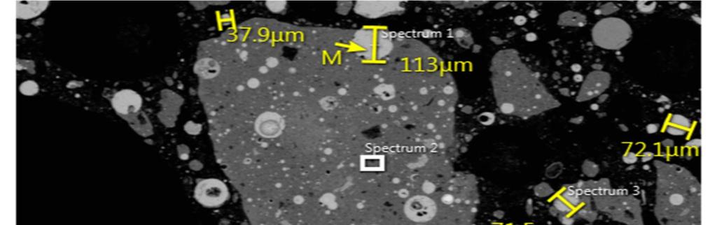 91 Figure 40 Magnetite (M) in BOF