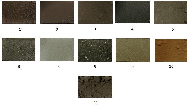 53 characterization of the material as well as the briquetting process itself. Different dried by-products are shown in Figure 18 below.