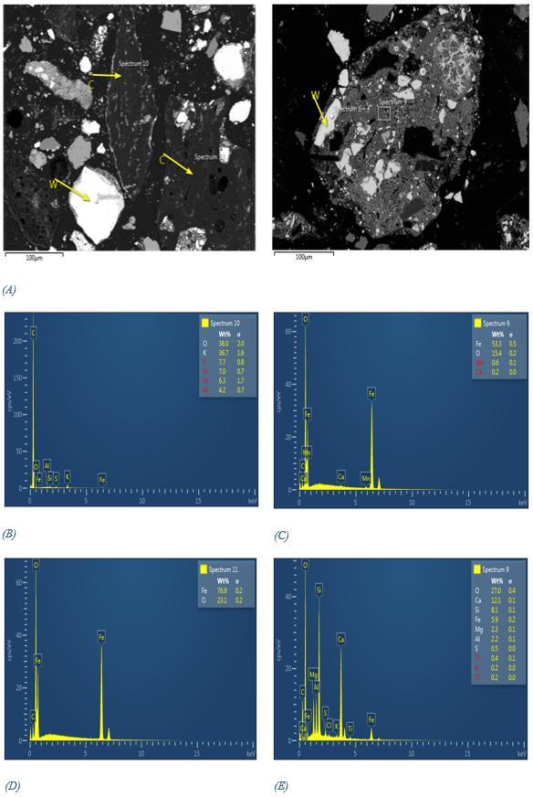 87 Figure 38 (A) SEM images showing wustite (W) and carbon (C), presence in cast house dust, (B)