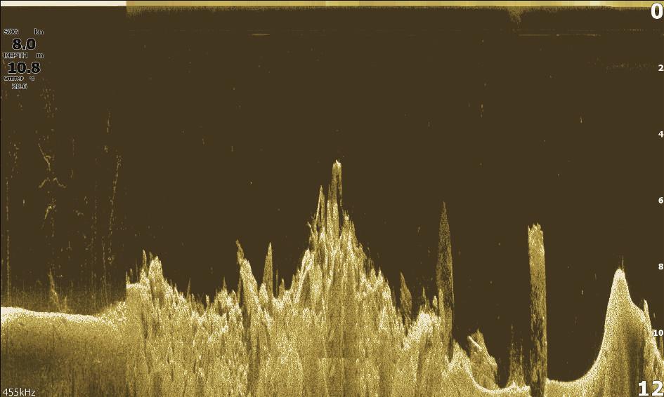 10 DownScan DownScan tuottaa yksityiskohtaisia kuvia suoraan veneen alla olevista rakenteista ja kaloista jopa 91 metrin (300 jalan) syvyydeltä 455 khz:n taajuudella tai 46 metrin (150 jalan)