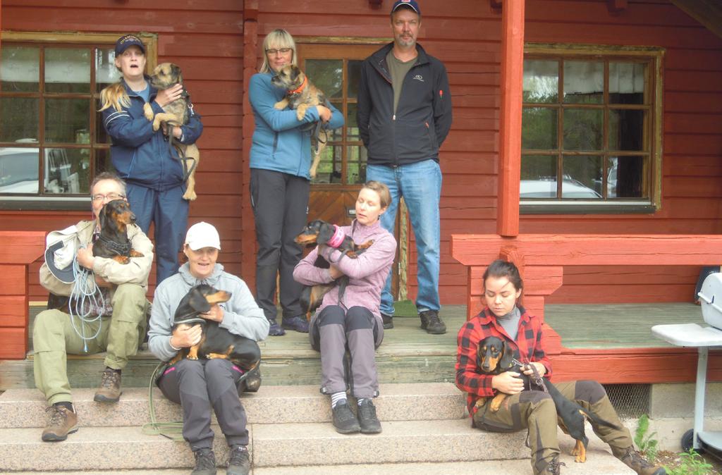 Kauden harjoitukset ovat nyt tämän vuoden osalta ohi. Ensi kesänä jatketaan samaan malliin. Harjoituksia pidetään entiseen malliin, kokeita on suunniteltu pidettäväksij kaksi.