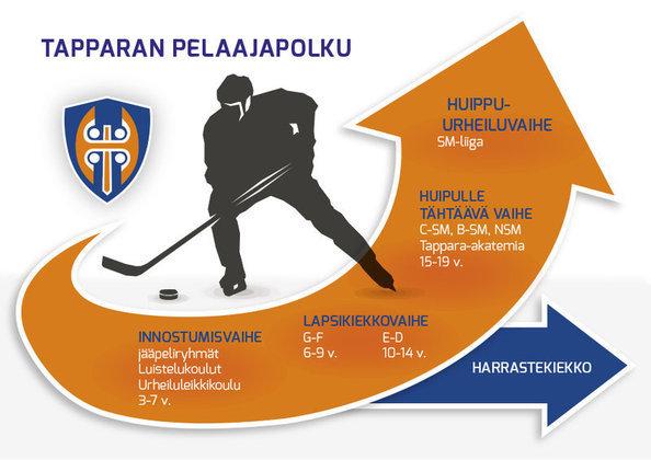 11 KUVA 1. Tapparan pelaajapolku (Tappara ry 2016.