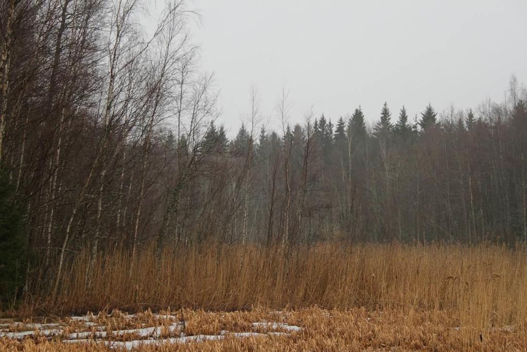 5.3 Liito-orava Suomen luonnonsuojelulain 49 toteuttaa Euroopan unionin luontodirektiivin listan IV (a) kuuluvien lajien suojelua.