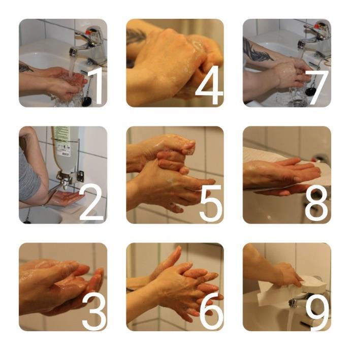 21 ainetta hierotaan ensin sormenpäihin. Huomioidaan, että ainetta hierotaan molempien käsien sormenpäihin. Tämän jälkeen sormet koukistetaan ja koukistettuja sormia hierotaan vasten kämmenpohjaa.