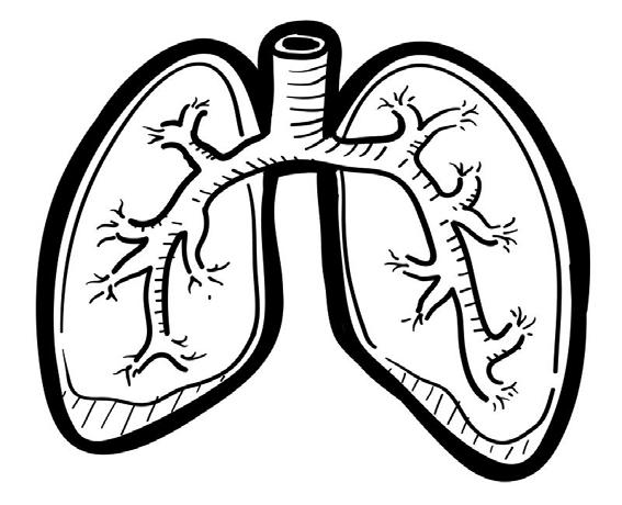 7 Onset of obesity Duration of obesity Genetics Obesity Fat mass Lean mass Visceral fat Adipokines Insulin resistance IMPROVE: Lung development Respiratory trength Airway inflammation Asthma severity