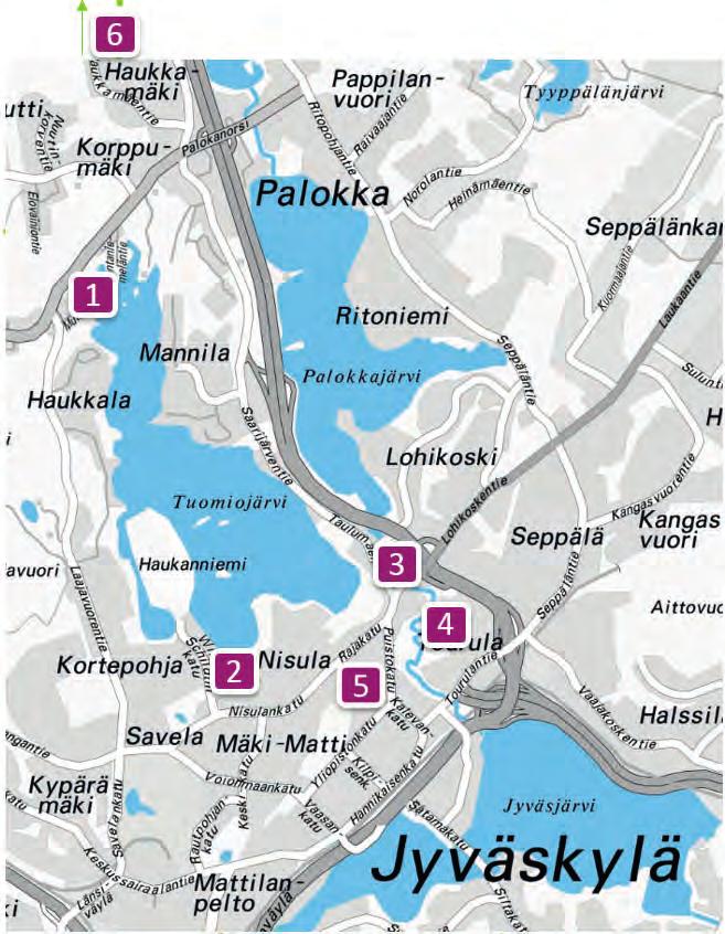 TIIVISTELMÄ Jyväskylän kärkihankkeessa tavoitteena oli Tourujoen vesientilan parantaminen. Kärkihankkeeseen kuului useita osaprojekteja.