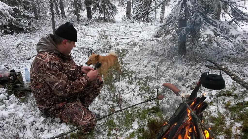 KoLPaKKo 1/2019