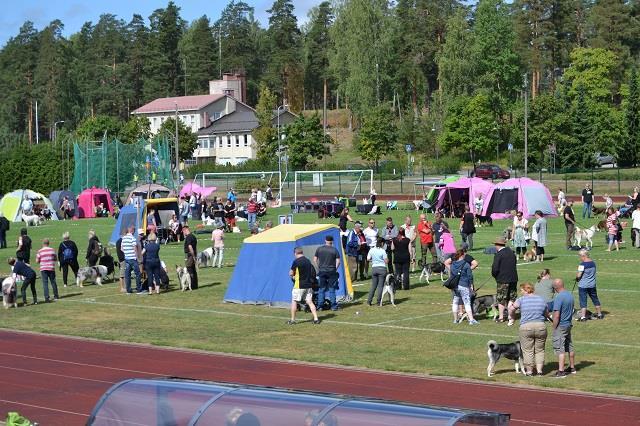 Sihteerin palsta Tervehdys kerholaiset Hieno ja vaihderikas kausi takana. Tuli oltua "sisällä" hienosti järjestetyissä piirinkisoissa, siitä seuraavaksi viikonlopuksi valitsijamiehenä Etelänlohkoon.