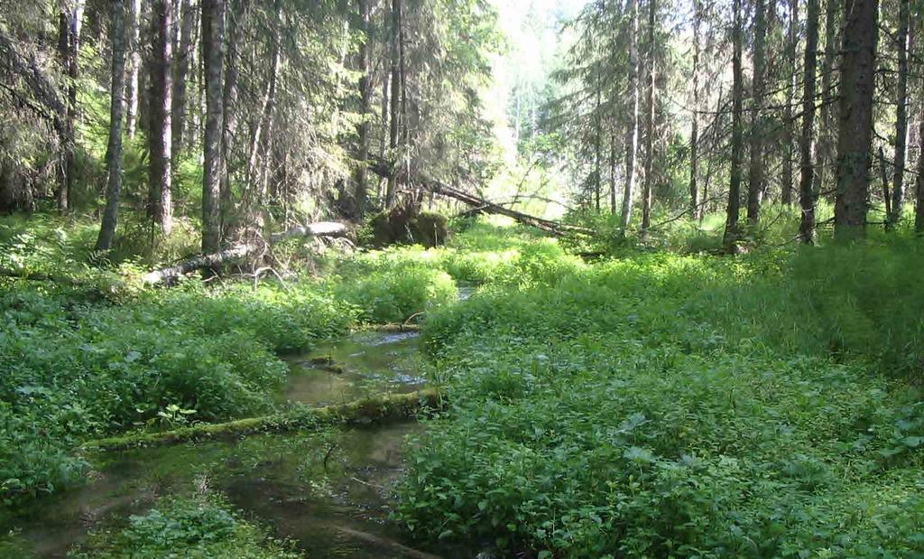 vitetaan metsien hoito ja sen taloudelliset hyödyt vesien- ja ympäristönsuojelun tarpeisiin.