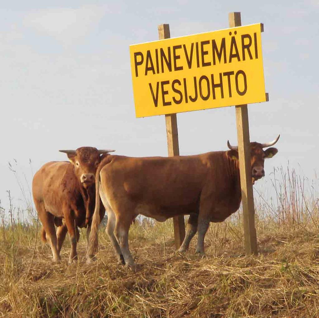 Otetaan tehokalkitus ja maanparannuskuidun hyödyntäminen osaksi peltojen ravinnekuormituksen hallintaa ja kasvukunnon parantamista.