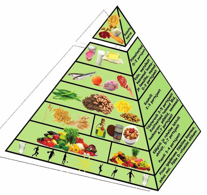 Toitumispüramiidid võivad erineda, peegeldades erinevate koolkondade seisukohti ja toitumisteaduse ning biokeemia arengut.