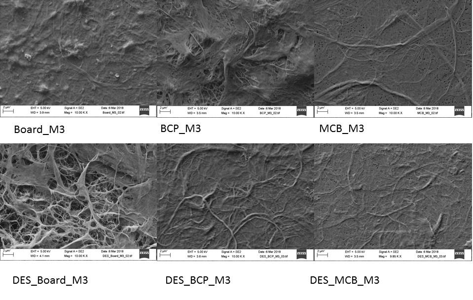 35 Kuva 14. M3-näytteiden FeSEM-kuvat. Mittajanan pituus on 2 µm. TEM Kuvassa 15 on esitetty eniten jauhettujen M3-näytteiden TEM-kuvia.