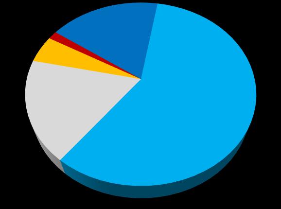 IT-kokemus yleisellä tasolla* Poor 1 % Fair 5 % Excellent 18 % I rather think that my