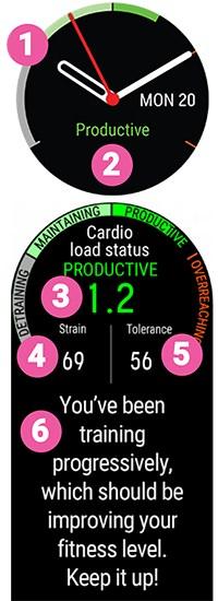 Kardiokuorman status auttaa sinua arvioimaan treenaamisen vaikutusta kehoosi ja edistymiseesi.