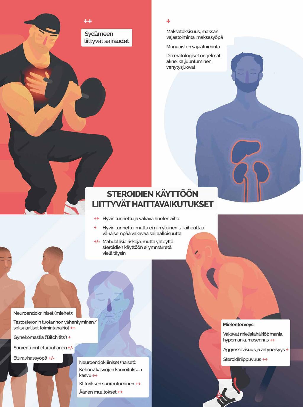 Dopingaineisiin yhdistettyjä terveysriskejä Design: Human Enhancement Drugs Network Birmingham City University.