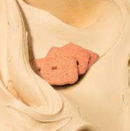 SALTY PEANUT 120 g 2x2,5 kg 112440