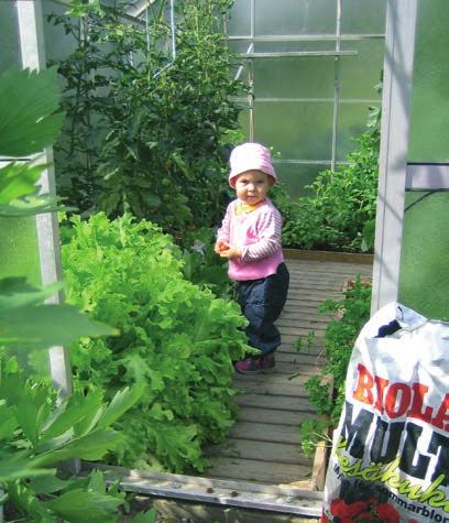 Olo-nurmikkoseos GreenCare 10 kg 6 95 Ota kaksi