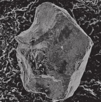 Kuva 3. Moreenin raskasmineraalirakeen kassiteriittirae, Heinola. Rakeen oikealla sivulla näkyy tetragonista kidemuotoa, vasemmalla sivulla jäätikkökulutuksen jälkiä. SEM-kuva. Figure 3.