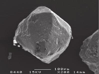 Moreenin raskasmineraalirikasteen oktaedrisen kidemuodon omaava kromiittirae, Kiiminki. SEM-kuva. Figure 4.