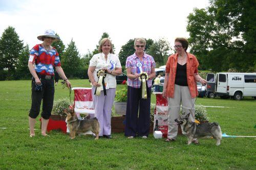 Erikoisnäyttelyn 2011 tulokset Länsigöötanmaanpystykorvat 20 vuotisjuhlaerikoisnäyttely 30.07.