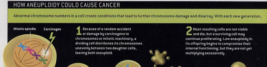 CELL 1254