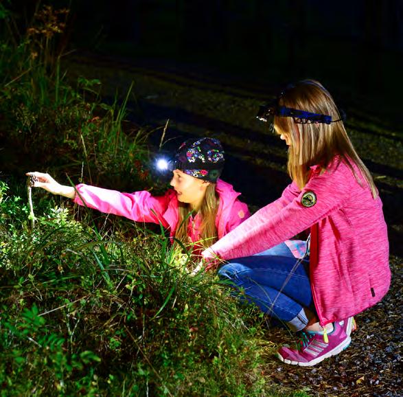 SENSOR & ZOOM OTSAVALOT Sensor: LED-otsavalo, jossa normaalitoimintojen lisäksi liiketunnistin, joka kytkeytyy päälle ja pois käden heilautuksella.