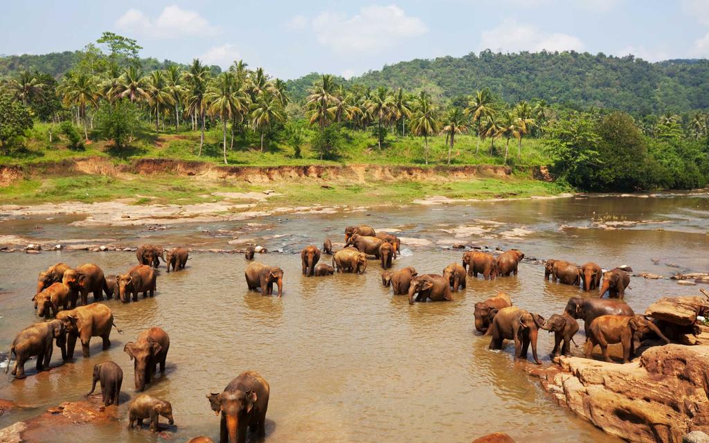 Intian valtameren lämpimät vedet hyväilevät Sri Lankaa ja Malediivien saariryhmää. Sri Lanka tarjoaa värikylläisyyden, tuoksujen ja kulttuurin täyslaidallisen ystävällisyydellä höystettynä.