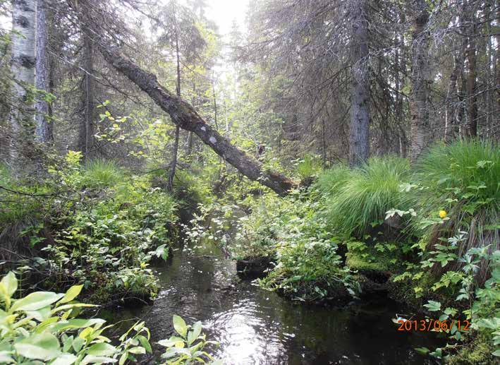 { 3 } 1 Metsälain mukaiset erityisen tärkeät elinympäristöt Metsälain 10 pykälässä määritellään metsien monimuotoisuuden kannalta erityisen tärkeät elinympäristöt, joita ovat: 1.