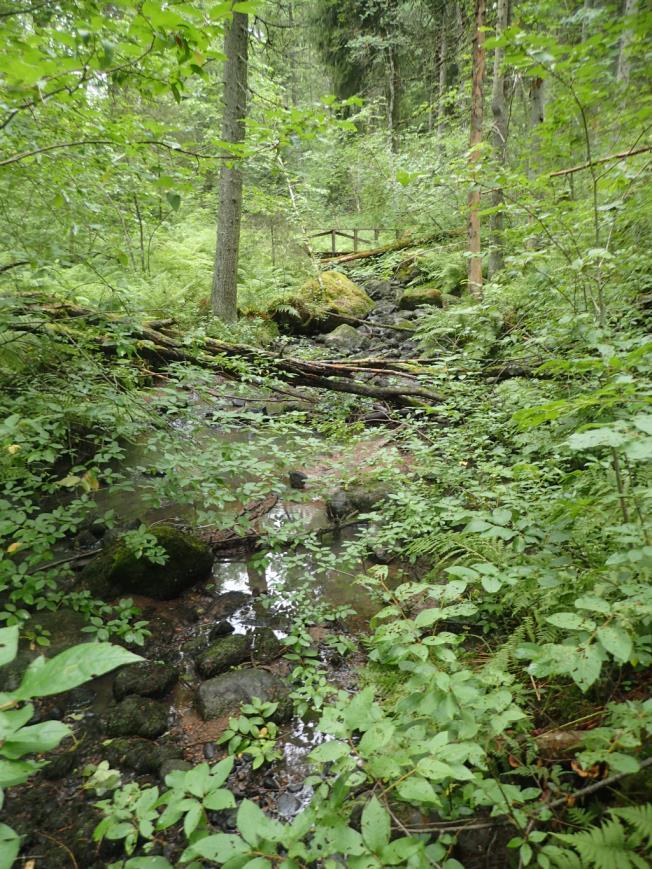 Alivirtaamaaikaan veden riittävyys on huomioitava.