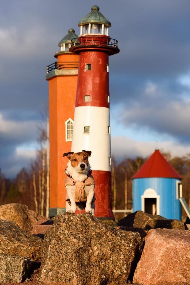 KAUPUNKIEN KEHITYSTRENDIT JA KOTKAN TULEVAISUUS MUUTOKSESSA