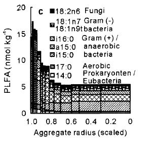 Pedosphere 16: 294-296. Heterogeneity of physico-chemical properties in structured soils and ist consequences.