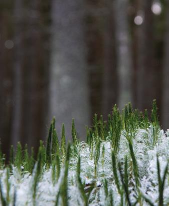 ..15 2.2.1 Toimintaperiaate...16 2.2.2 Nykytilanne varastoinnissa ja loppusijoituksessa...17 2.2.3 VLJ-luolan käytönaikainen valvonta ja seurantatutkimukset...18 2.2.4 Kallioperän kalliomekaaninen ja hydrologinen monitorointi.