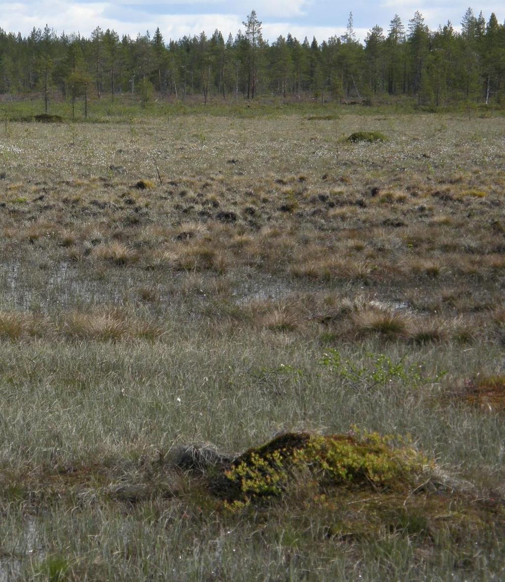 Vähäpuustoiset kitumaat, joutomaat, rakennettu maa ja