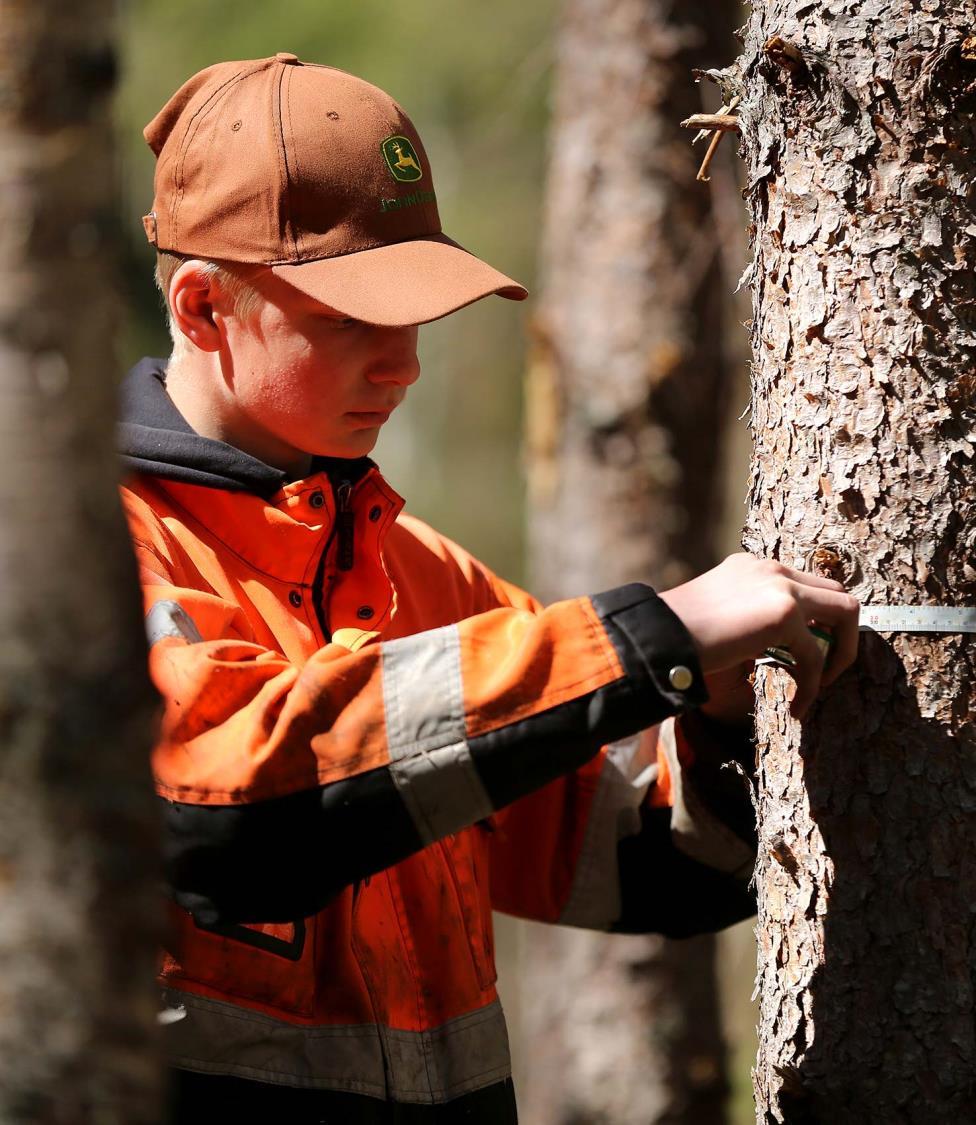 Keinovalikoima Toimenpiteiden merkityksiä ja vaikutuksia tarkasteltiin hiilen sidonnan ja varastoinnin lisäksi maaperähiileen, liiketalouteen, monimuotoisuuteen, vesiensuojeluun,