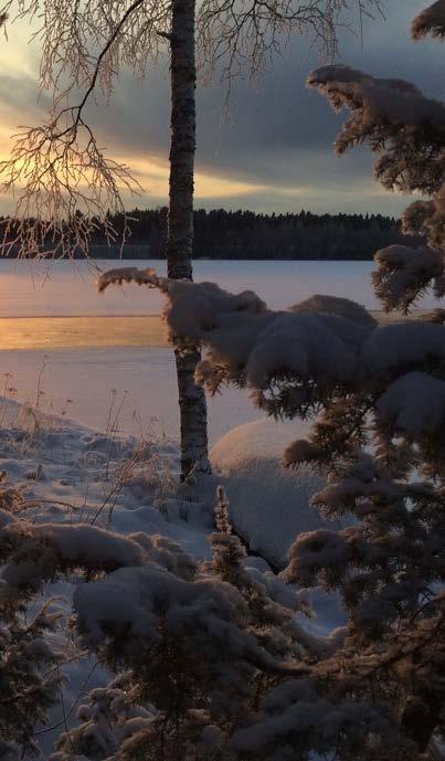 Palautuminen voimien elvyttämistä vapaalla negatiiviset tunteet hidastavat palautumista.