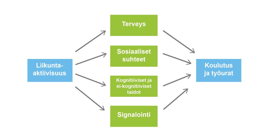 työssä suoriutumisena (Amlani ym. 2014, Lahti 2010, Lahti 2013).