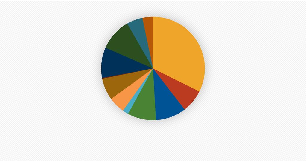 Henkilökohtaisen budjetin palvelusetelikokeilu Raportti 6(28) 3 Kyselytutkimuksen tulokset 3.