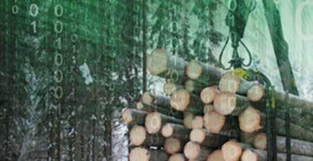 Puuhuollon digitalisaatio ja metsäkonetiedon mahdollisuudet Jarmo