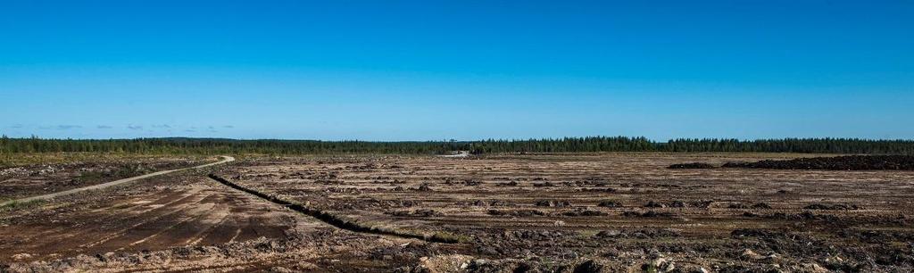 YMPÄRISTÖVAIKUTUSTEN ARVIOINTISELOSTUS 141 metsät ovat usein tehokkaassa metsätaloustuotannossa.