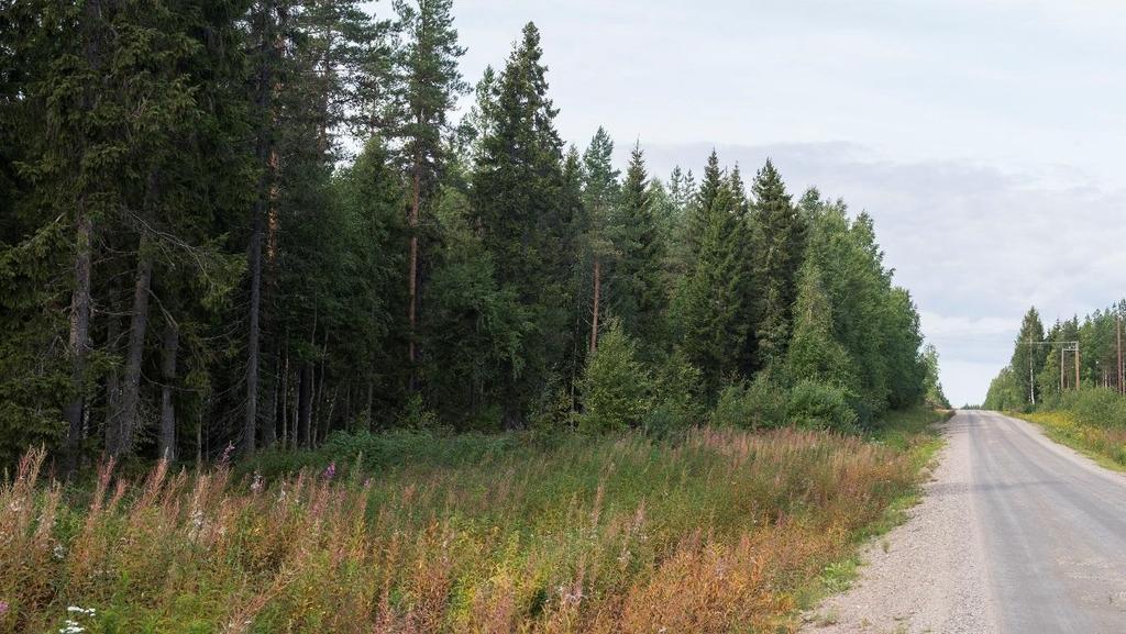 Yksittäisiä pieniä peltokuvioita sijaitsee kaivospiiristä koilliseen.