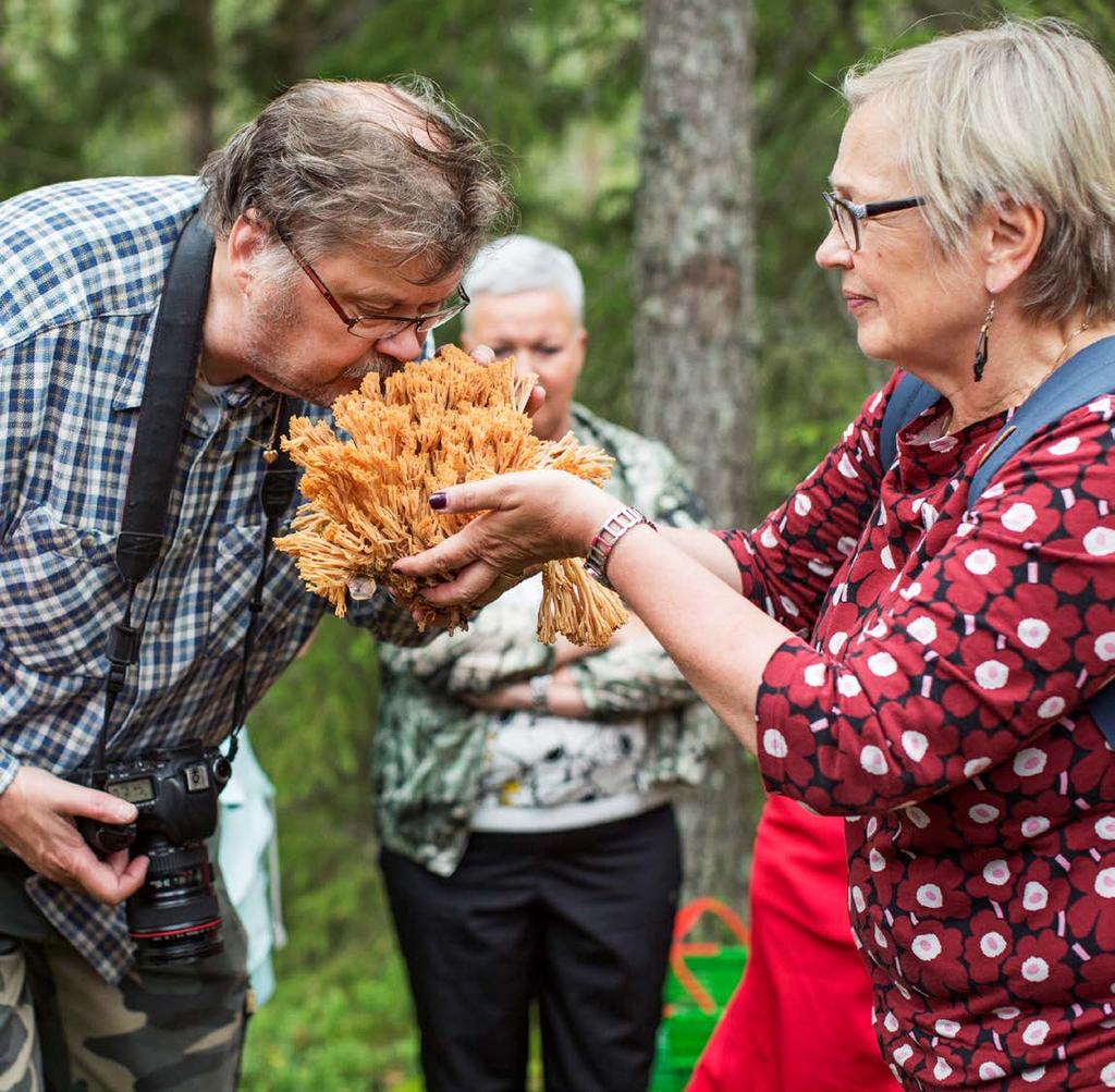 SIENIVIIKKO 31.8.-7.9. Alkaa valtakunnallisena sienipäivänä. Innostaa liikkumaan luonnossa ja hyödyntämään luonnonantimia. Opettaa tunnistamaan luonnontuotteita ja lisää niiden käyttöä.