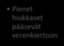 Keuhkorakkulat Mieli