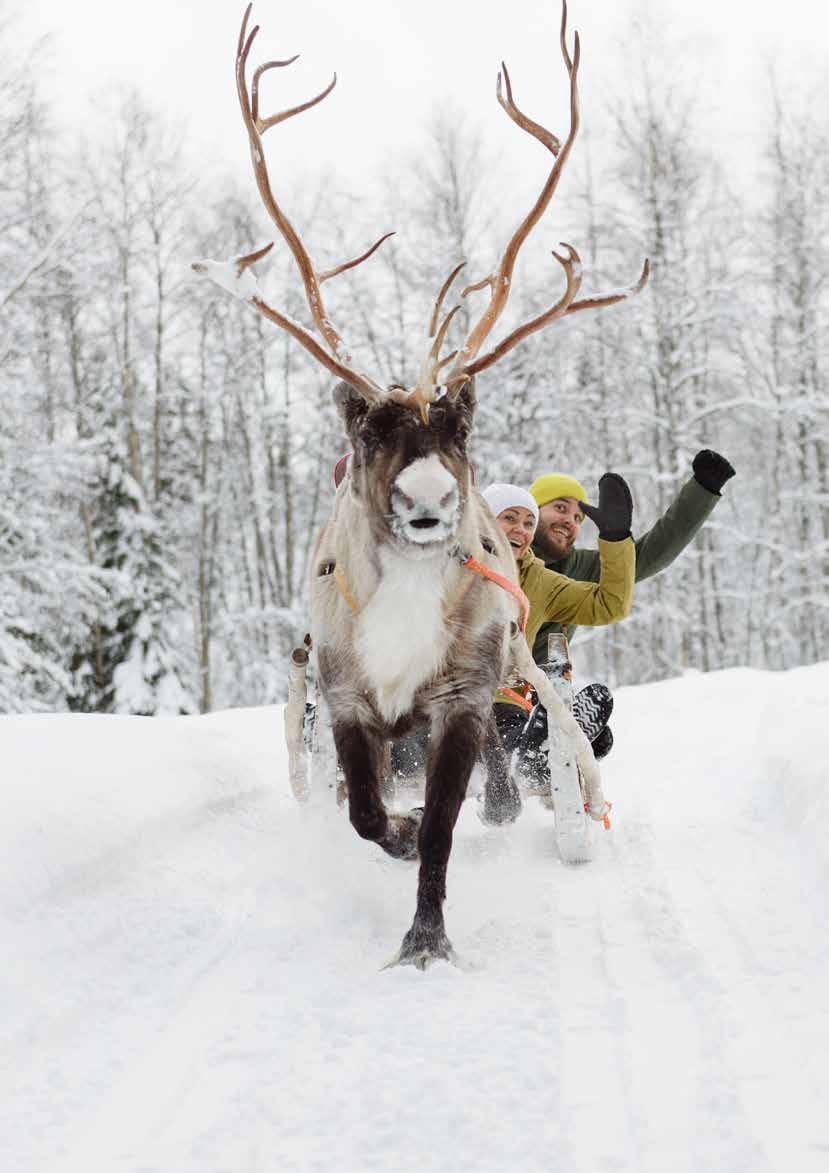Hyppää kyytiin! Näin haet töihin Kun tarvitset kesätyötä tai työpaikkaa TET-jaksolle tai työharjoitteluun, ota rohkeasti yhteyttä yrityksiimme.
