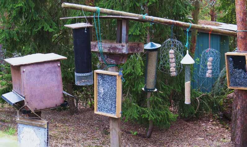 Lisätietoa ilmastosta ja talvilinnuista löytyy seuraavista lähteistä: http://ilmatieteenlaitos.fi/teematietoa (kysymyksiä ja vastauksia) http://www.suomenluonto.