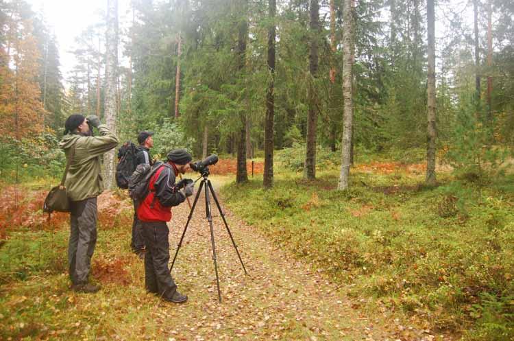 Kirkkojärven retkellä oli osallistujia seitsemän henkilöä. Tällä retkellä yölaulajat olivat kuitenkin vähemmän innokkaita.