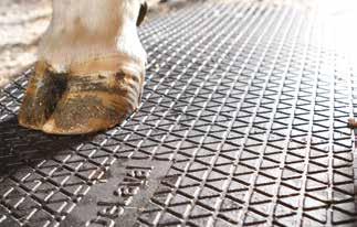 DeLaval KAMPANJATUOTTEET Ilmanvaihdon kevätkampanjat DeLaval käytävämatto Parasta pitoa joka sorkalle Käytävämatoilla liukkaista betonikäytävistä saadaan pitäviä ja pehmeitä, jolloin lehmien