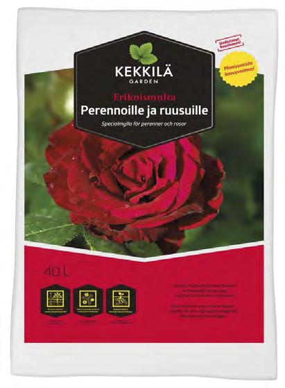 Laji & lajike Väri Valontarve Kasvualusta Käyttötapa Hinta KORISTEHEINIÄ HOPEATOPPO Koeleria glauca kellanvalkoinen 10/40 cm Tuore Koristeheinä 4,50 Sinivihreät lehdet. Kaunis kasvutapa.