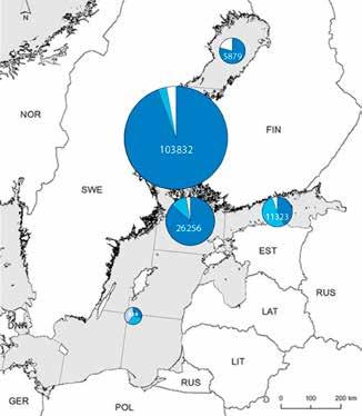 Avomerikalastus Silakan, kilohailin ja turskan troolikalastus Arvo noin 31 miljoona euroa (216)* Rannikkoja saaristokalastus Siian, kuhan, ahvenen, lohen ja silakan rysä- ja verkkopyynti Arvo noin 9