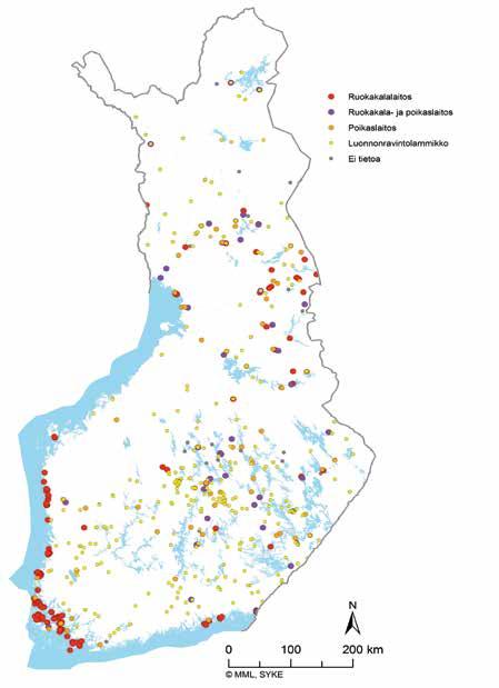 Osa yrityksistä on keskittynyt esimerkiksi poikas- tai ruokakalatuotantoon. Yrityksistä 1 prosenttia on suuria, 4 prosenttia keskisuuria ja 5 prosenttia pieniä mikroyrityksiä.