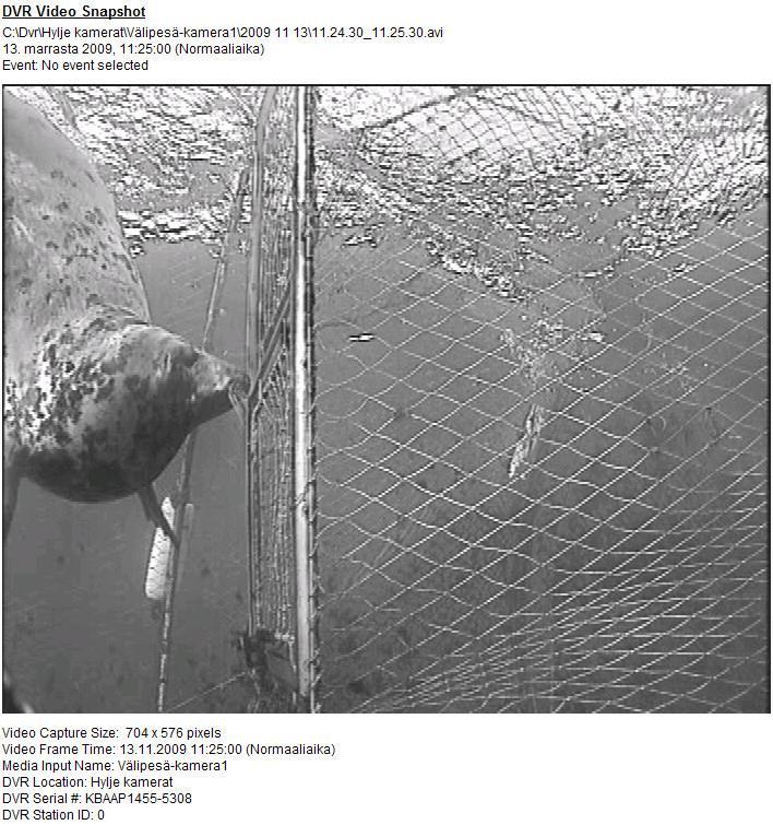 hylkeiden tottuminen karkottimen ääniärsykkeeseen + Tieto kalastajan kännykkään hylkeiden vierailusta rysällä Yhteistyötä